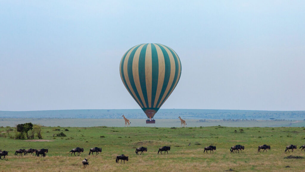 final_hotairballoon3