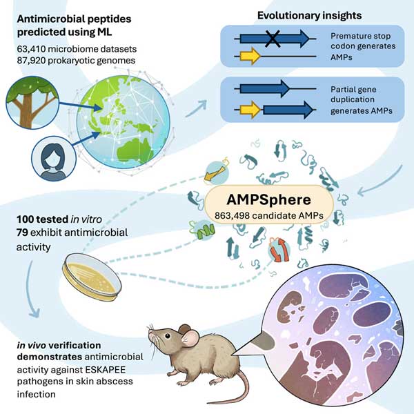 final_antibiotics4